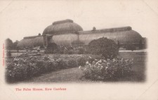 London Postcard - The Palm House, Kew Gardens, Richmond upon Thames RS41254