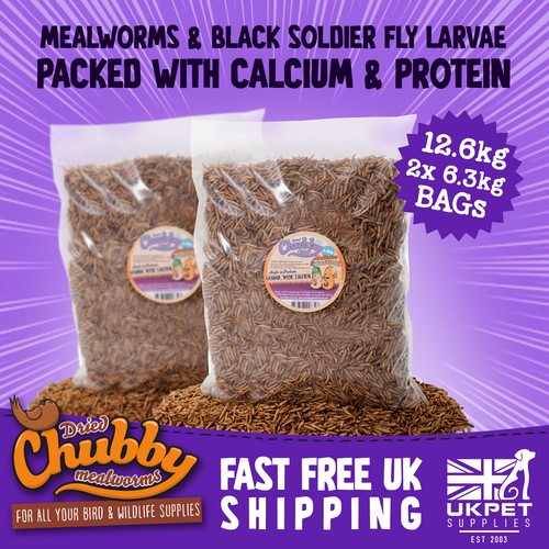 Dried mealworms calciworms mix - mealworms,