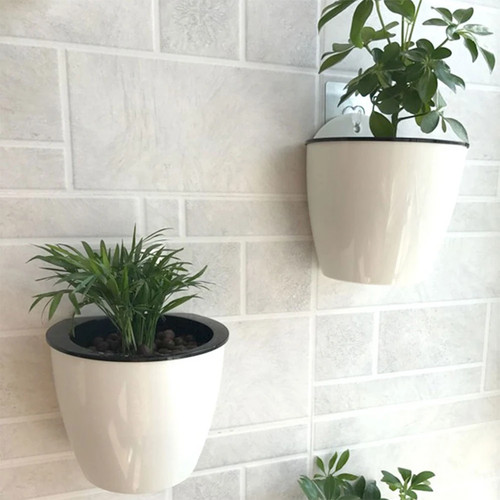 Wall mounted self - wall,