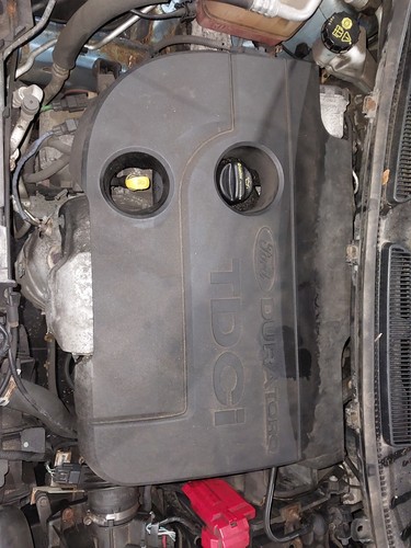 Engine ford fiesta mk7 b299 - engine,