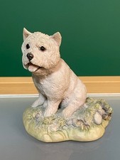 West Highland Terrier