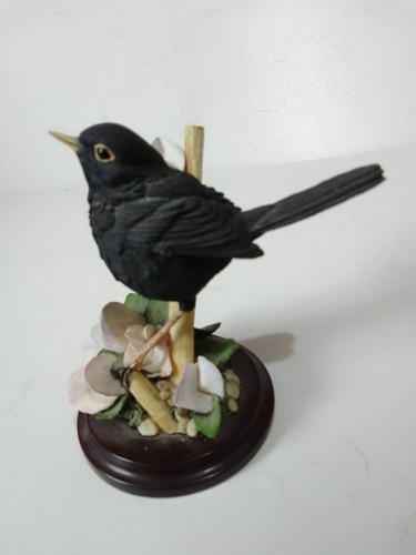 Blackbird with sweetpeas
