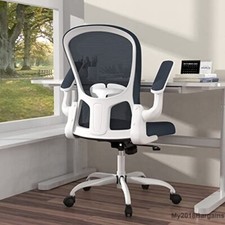 Ergonomic Office Chair