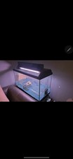 150 Litres Fish Tank Aquarium