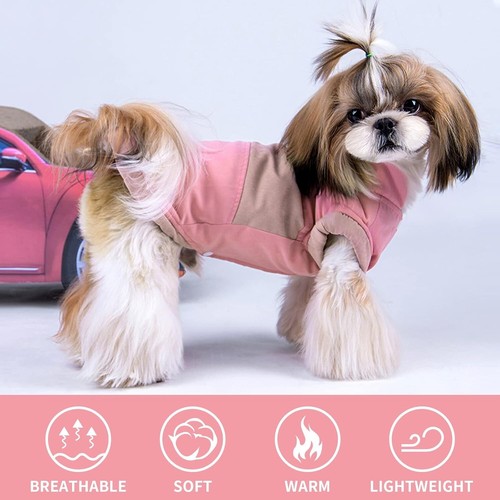 Small dog coat puppy water - dog,