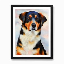 Beauceron 5 Watercolour Dog