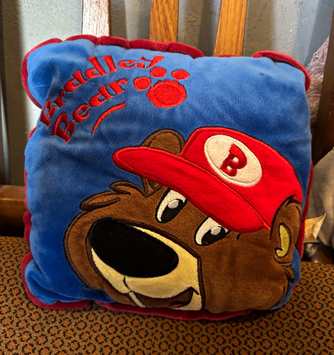 Beddy bear plush soft toy - bear,