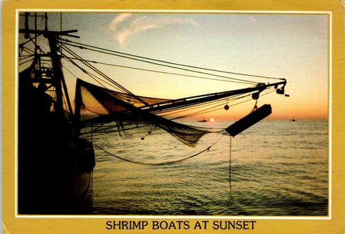 Shrimp boats sunset - shrimp,