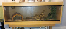 Vivarium Reptile Enclosure Tank Large chipboard wooden with decor
