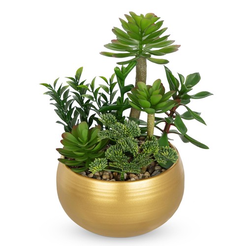 Dilatata artificial succulent - dilatata,