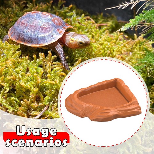 Reptile water dish corner - reptile,