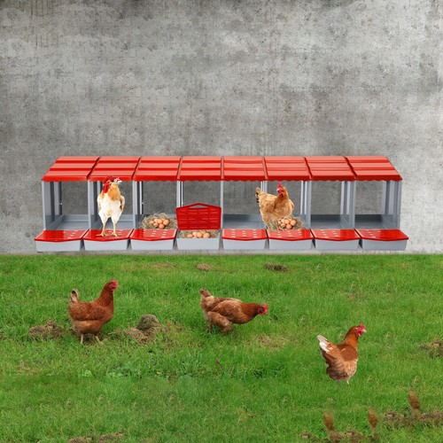 Modern compartment chicken - modern,
