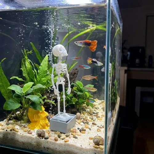 Dancing skeleton aquarium - dancing,