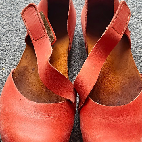 The art company women - company, red