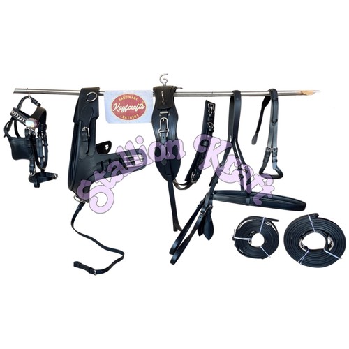 Single horse driving harness - horse,