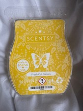 ? Scentsy “Fresh Cut Daisies” Wax Bar ?