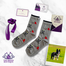 BORDER COLLIE SOCKS FLYBALL
