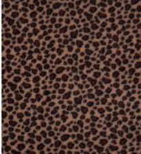 Printed Polar Fleece Fabric