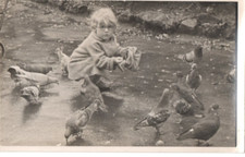 VINTAGE PHOTOGRAPH postcard:  CHILD FEEDING PIGEONS