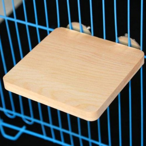 Wood cockatiel parrot bird - wood,