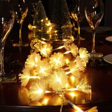 Noma 20 Warm White Fibre Optic