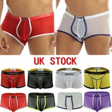 UK Mens Panties Sheer Mesh