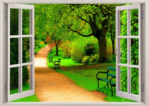 Beauty nature walk way - beauty, green