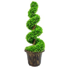 Large Artificial Spiral Tree