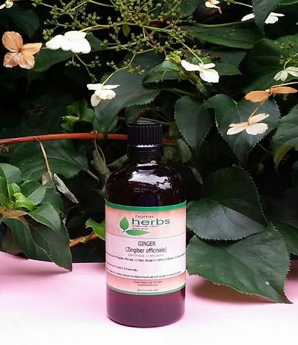 Organic ginger root tincture - root,