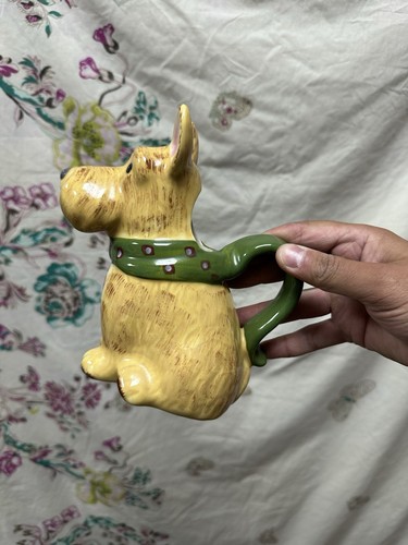 Quaint terrier dog - quaint, with