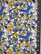 Disney Donald Duck Custom
