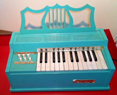 Rosedale electric chord organ - electric,