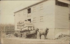 FAVERSHAM KENT Hops Horse