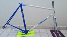 Vintage Wilier Triestina Steel