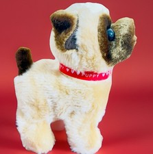 Cute Dog Walking Barking