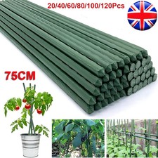 75CM Garden Plant Stakes Metal