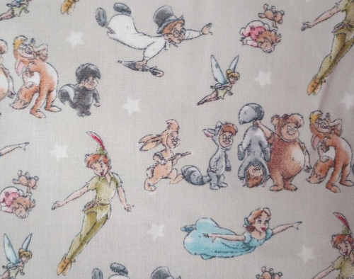 Disney peter pan wendy fun