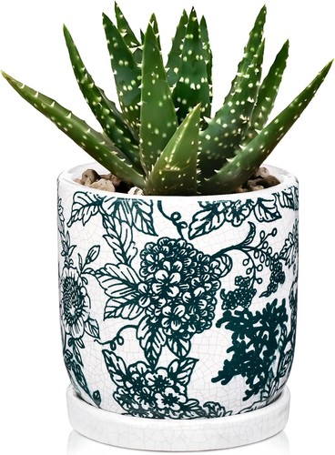 14cm jade green ceramic plant - jade,