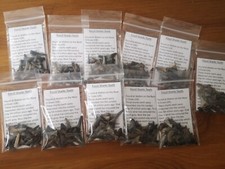 Fossil Sharks Teeth bag 10g -