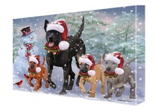 Thai Ridgeback Dog Canvas Wall
