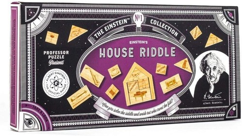 Professor puzzle einstein - professor,