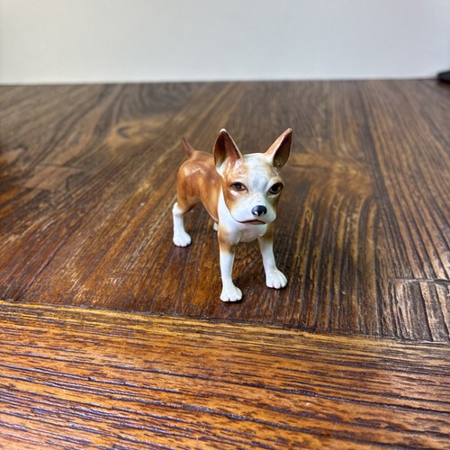 French bulldog miniature dog - french,