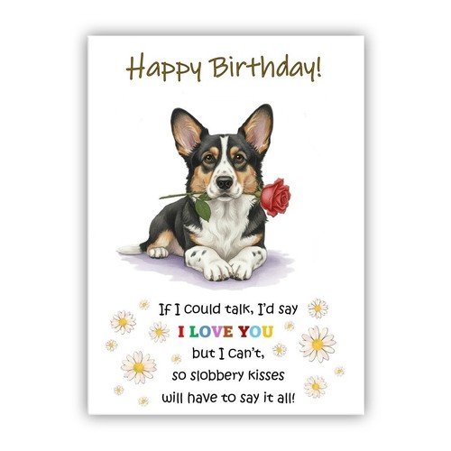 Cardigan welsh corgi birthday - cardigan,
