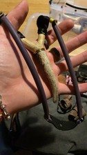 Wooden And Deer Antler