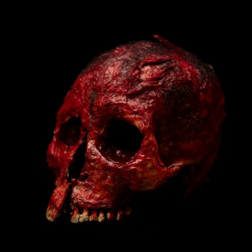 Bloody horror skull - bloody, prop