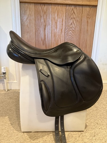 Wrs ideal integra jump - wrs,
