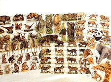 Decoupage Art Paper die cut