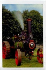 (Lp413-100) WAllis Stevens