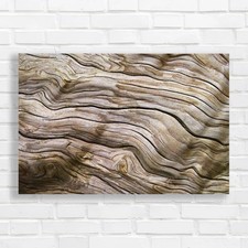 Driftwood Canvas Print Large