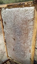 Natural Honeycomb